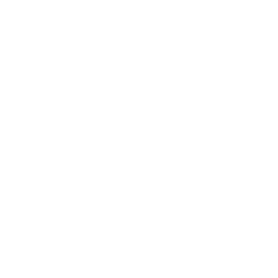 Analytics icon