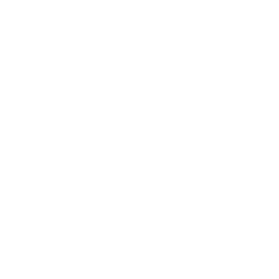 Football Field icon