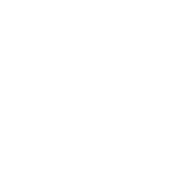 Record video icon