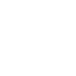 Video icon